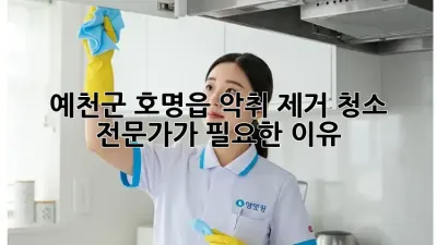 예천군 호명읍 악취 제거 청소: 전문가가 필요한 이유